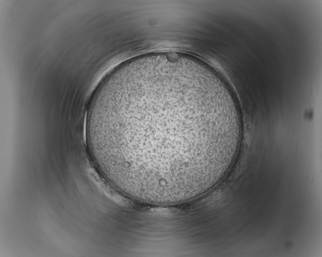 X0000115361227200911241208