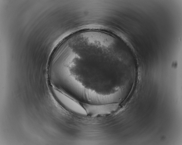 X0000115361229200911241208