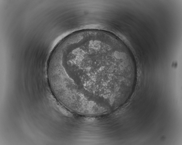 X0000115361230200911241208