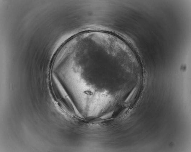 X0000115361231200911241208
