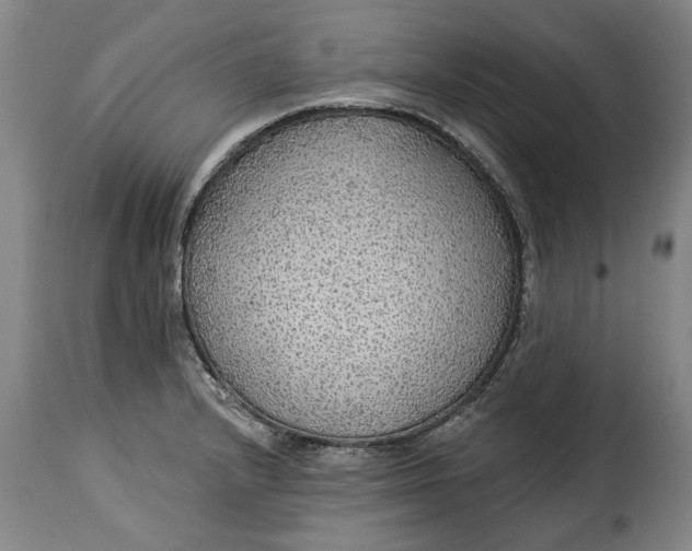 X0000115361232200911241208