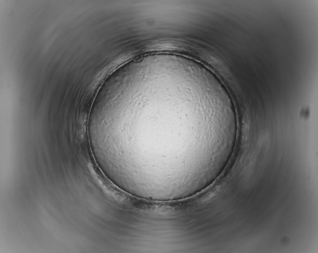 X0000115361233200911241208