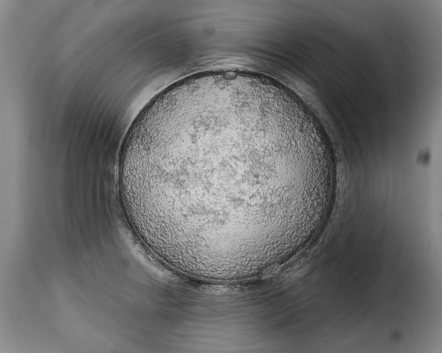 X0000115361234200911241208