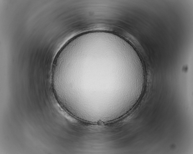X0000115361236200911241208