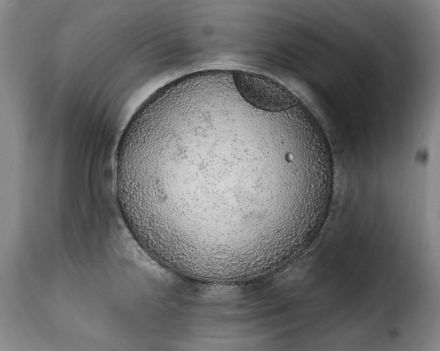 X0000115361238200911241209