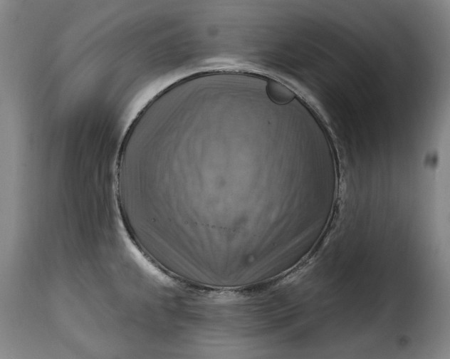 X0000115361239200911241209