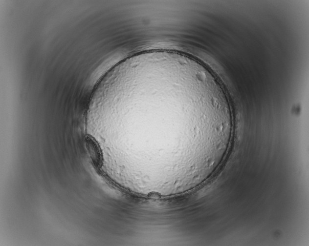 X0000115361241200911241209