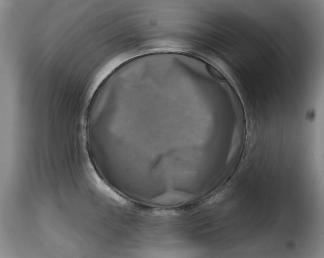 X0000115361243200911241209