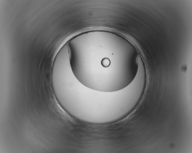 X0000115361244200911241209