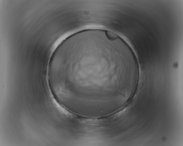 X0000115361245200911241209