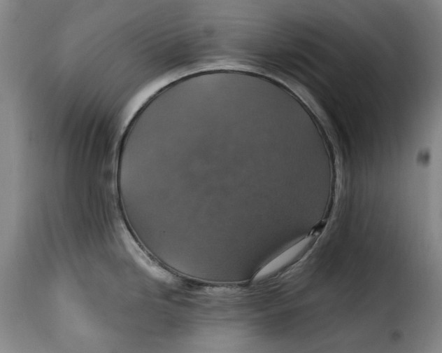 X0000115361246200911241209