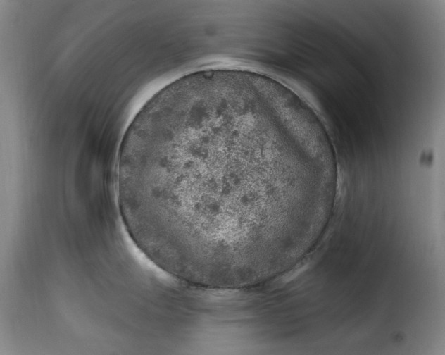 X0000115361247200911241209