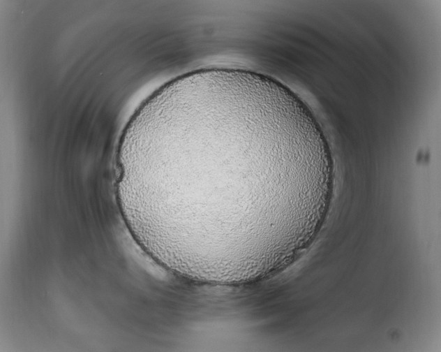 X0000115361248200911241209