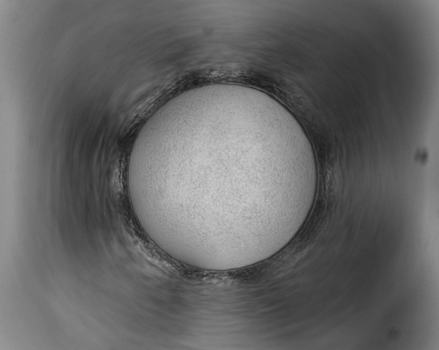 X0000115361250200911241208