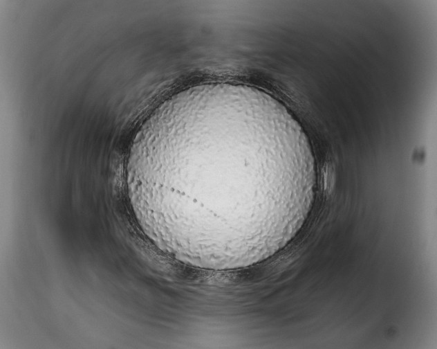 X0000115361251200911241208