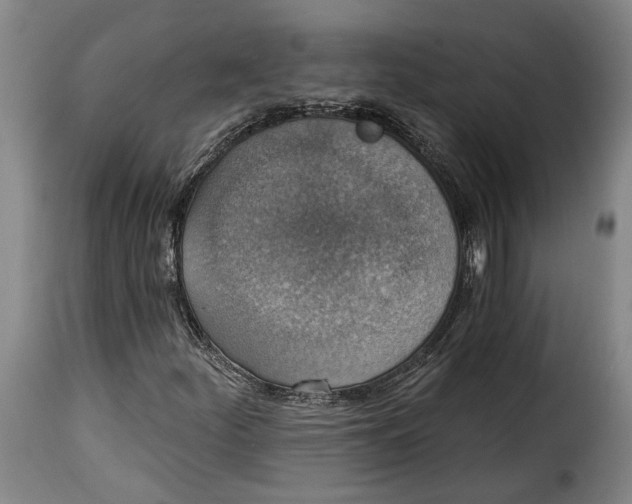 X0000115361252200911241208
