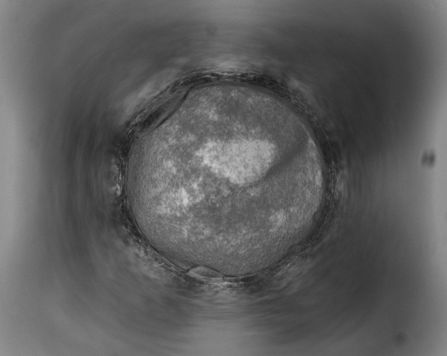 X0000115361253200911241208