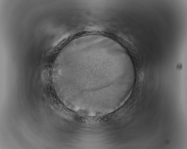 X0000115361254200911241208