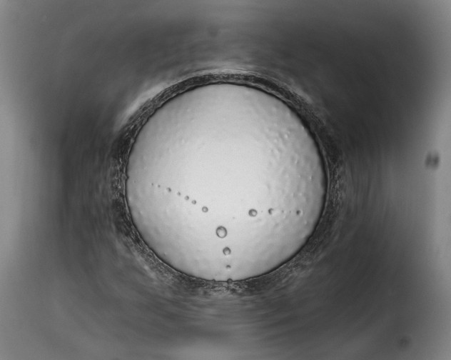 X0000115361255200911241208
