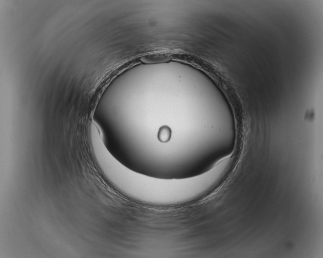X0000115361257200911241208