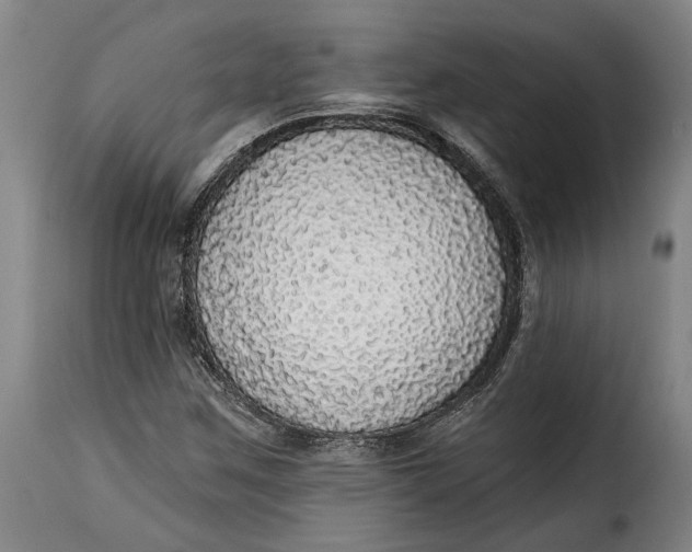 X0000115361259200911241208