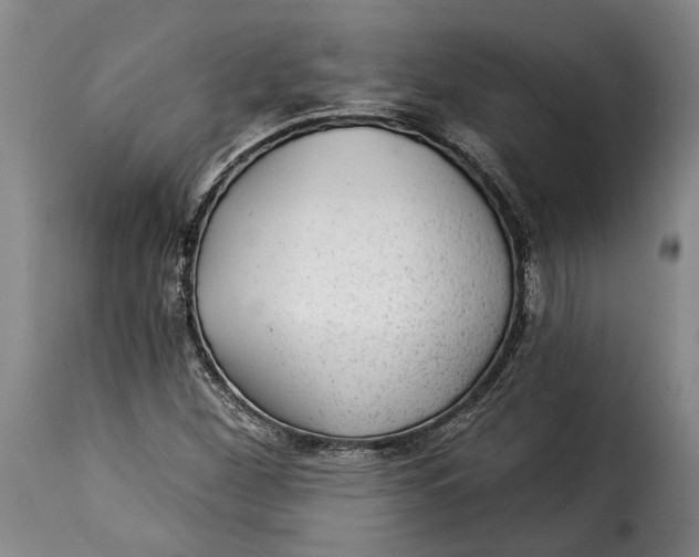 X0000115361260200911241208