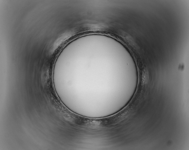 X0000115361261200911241208