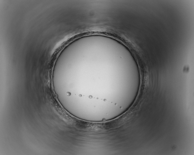 X0000115361262200911241208