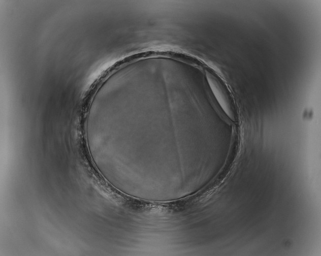 X0000115361263200911241208