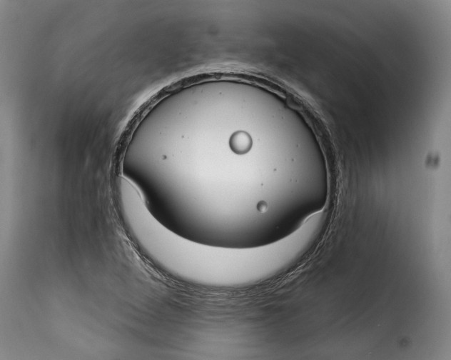 X0000115361264200911241208