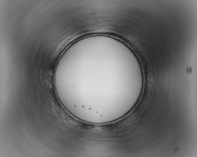 X0000115361265200911241208