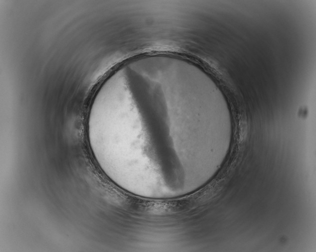 X0000115361266200911241208