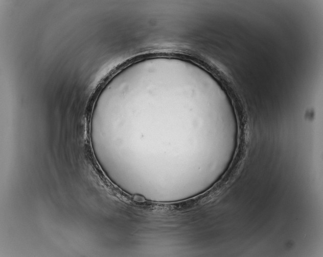 X0000115361267200911241208