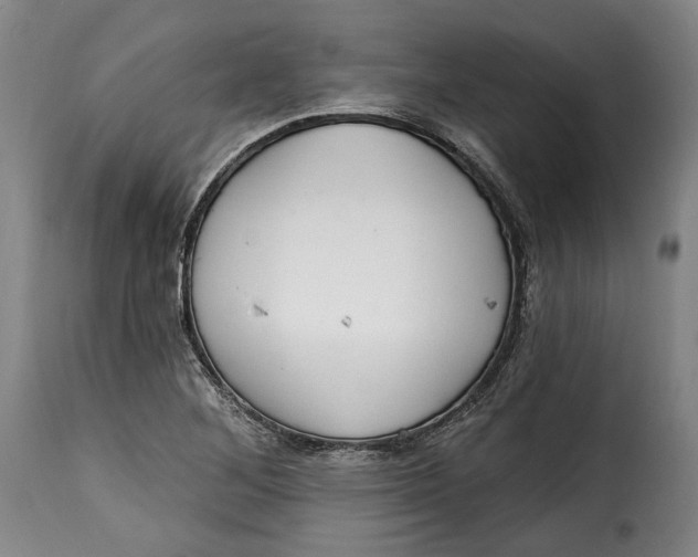X0000115361268200911241208