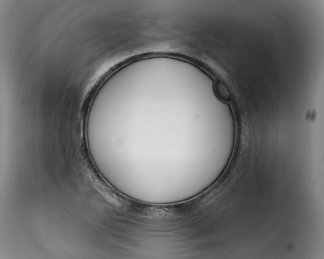 X0000115361270200911241208