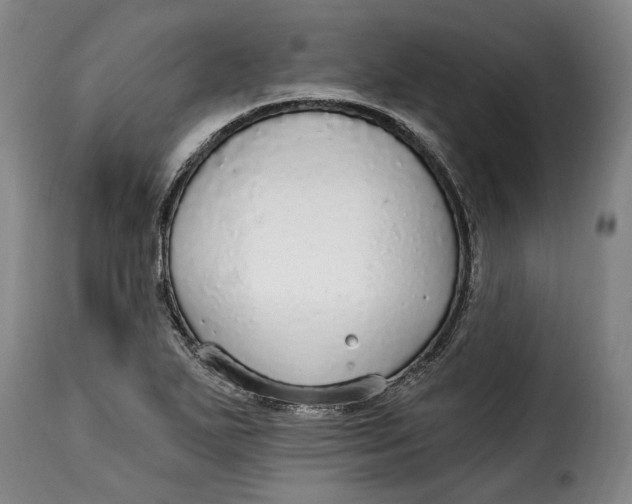 X0000115361271200911241208