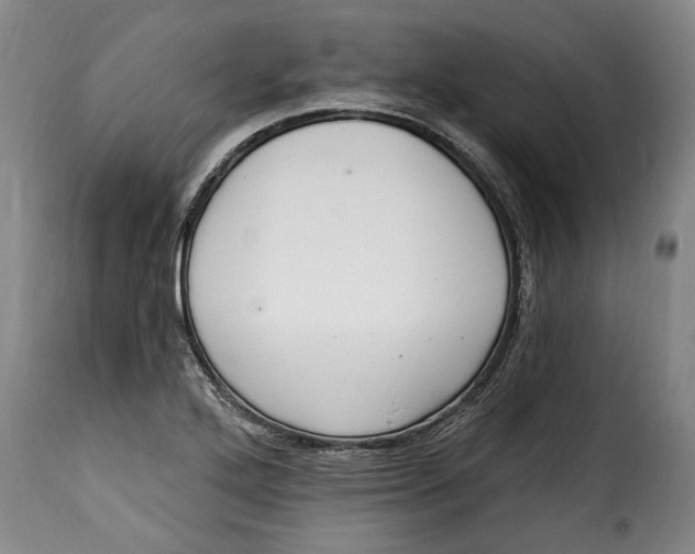 X0000115361272200911241208