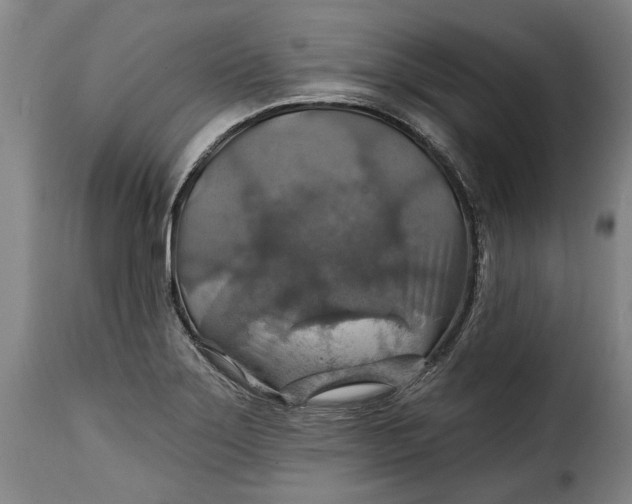 X0000115361275200911241208