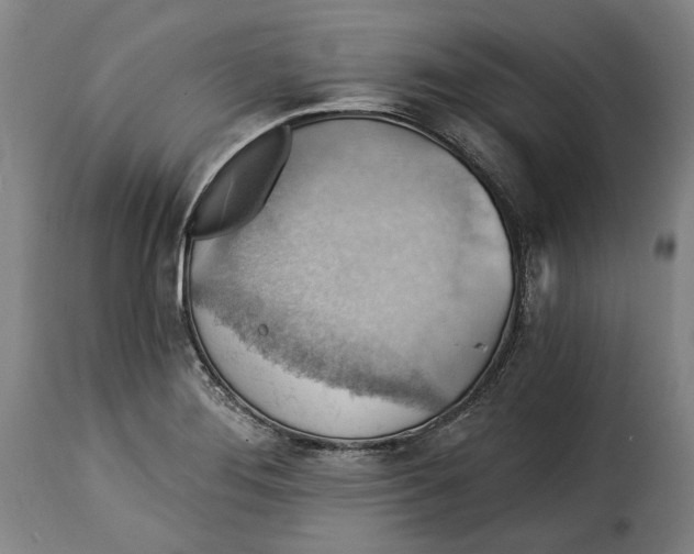 X0000115361276200911241208