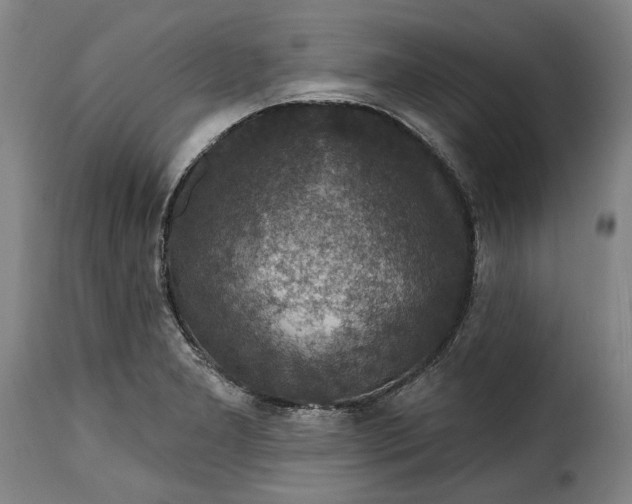 X0000115361277200911241208