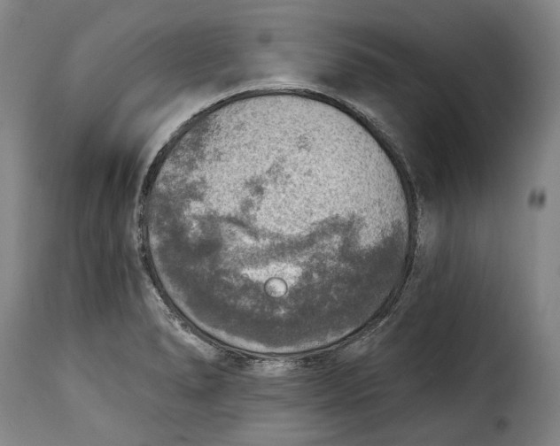 X0000115361278200911241208
