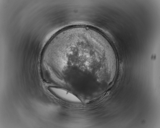 X0000115361279200911241208