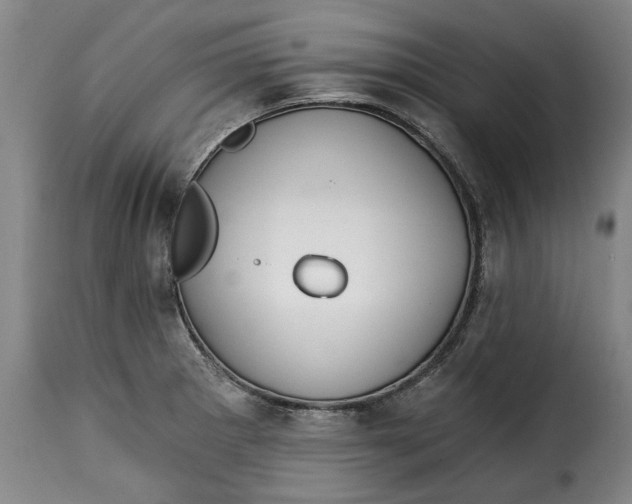X0000115361281200911241208