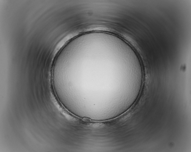 X0000115361282200911241208