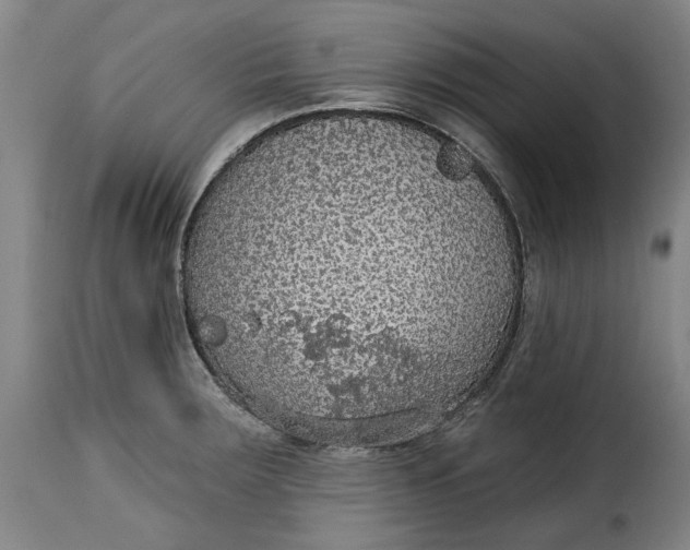 X0000115361283200911241208