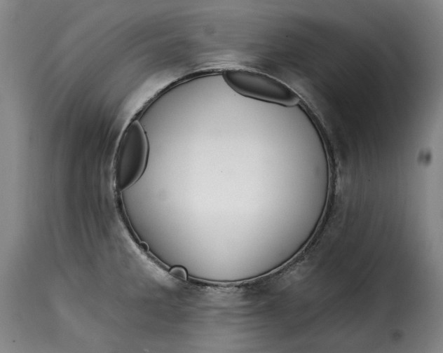 X0000115361285200911241208