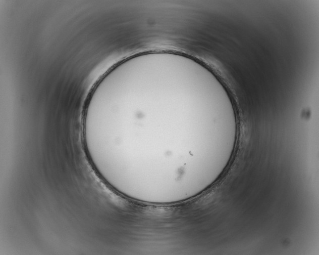 X0000115361286200911241207