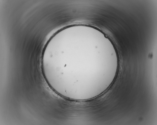 X0000115361288200911241207