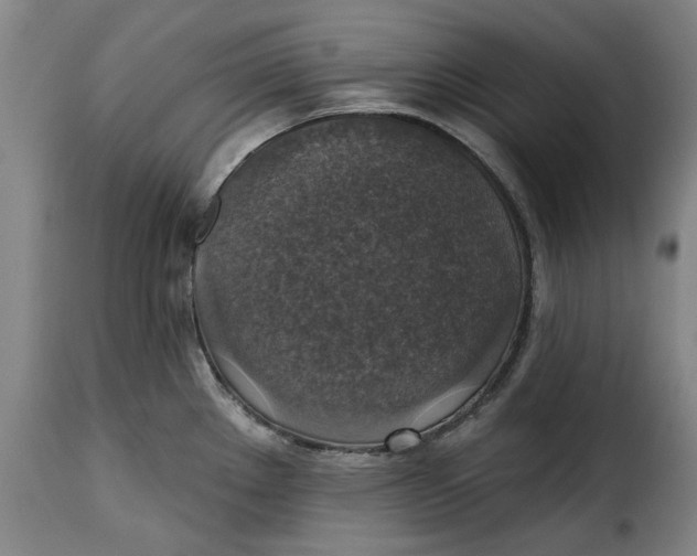 X0000115361289200911241207