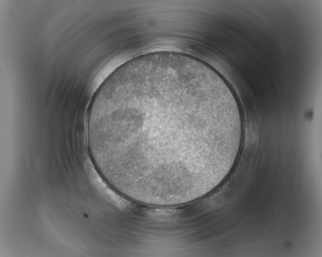 X0000115361290200911241207